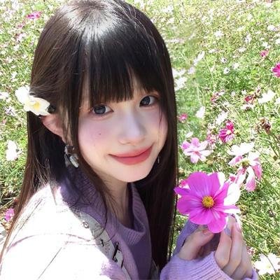 菊石